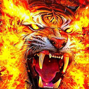 Profile photo of Arjun